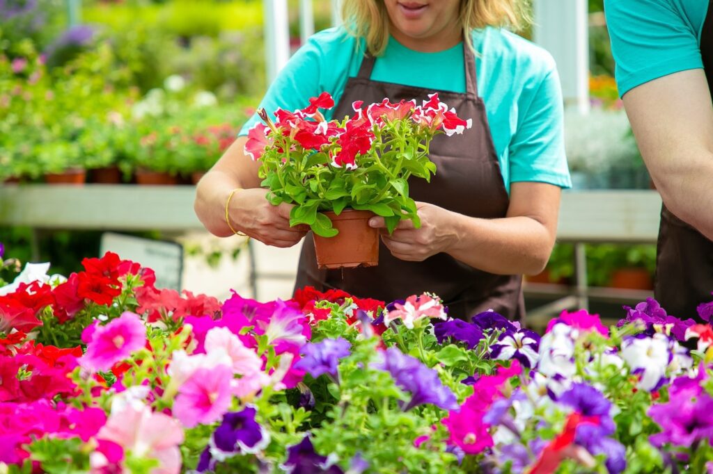 La magie florale : la livraison de fleurs Saint-Herblain ajoute une touche de fraîcheur pour tous vos moments spéciaux